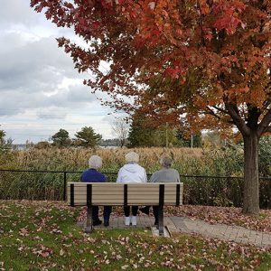 Resident on a bench facing the lake
